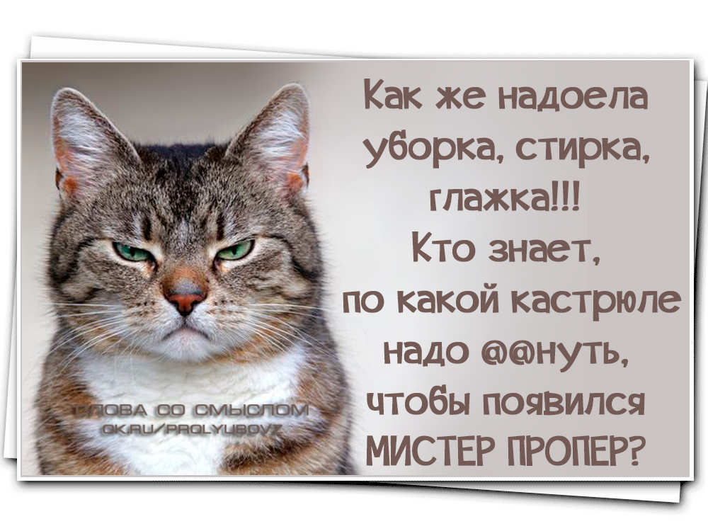 надоела уборка. как вы надоели картинки. жена надоела мужу. я тебя ррр. я ухожу надпись.
