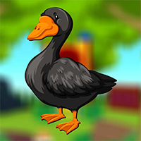 AvmGames Stupid Duck Esca…