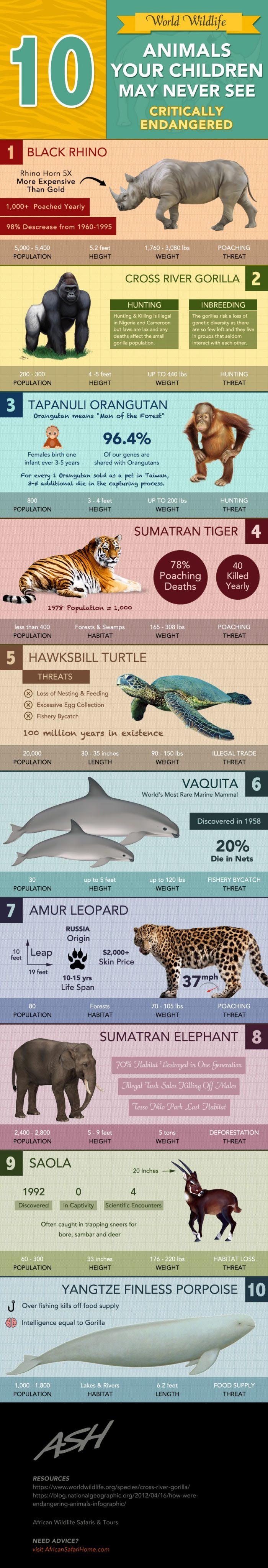 10 Animals Your Children May Never See #infographic