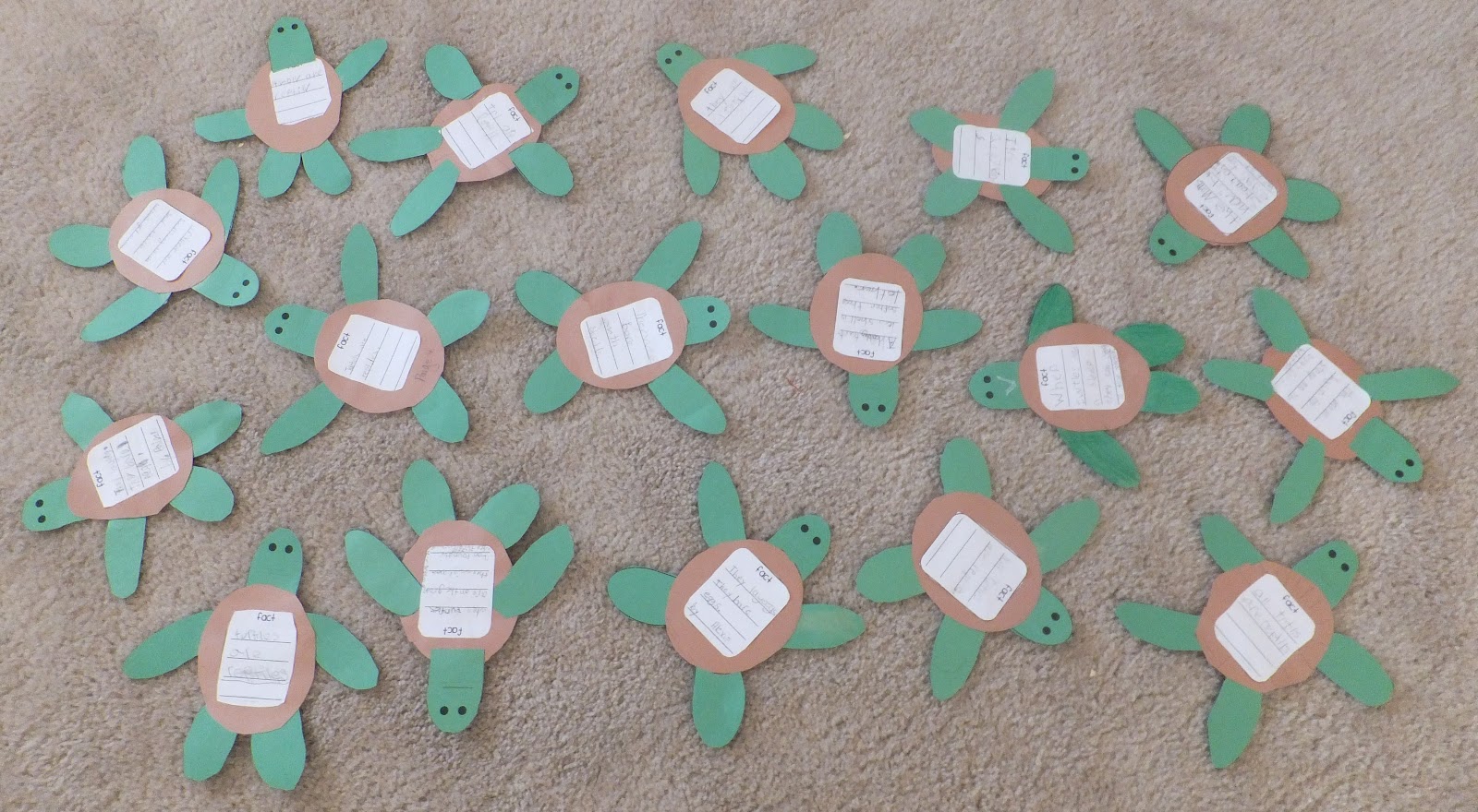 Winners & Baby Sea Turtles | Falling into First