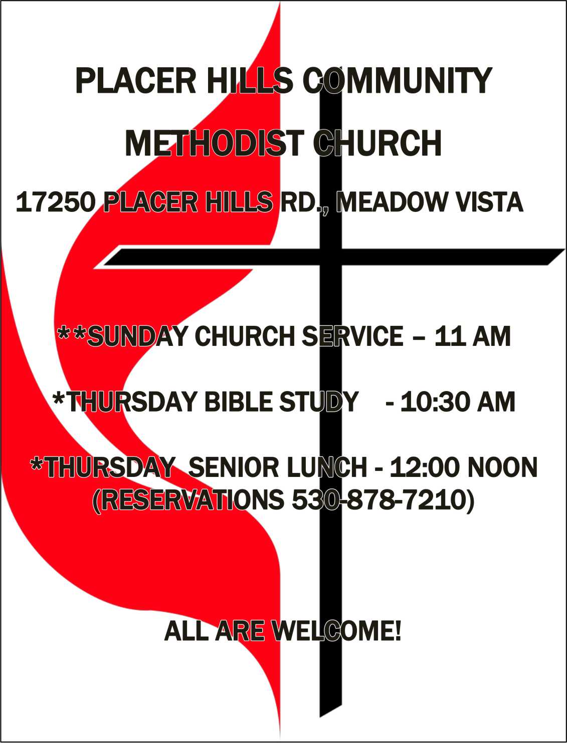 Meadow Vista View Magazine