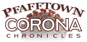 Pfafftown Corona Chronicles
