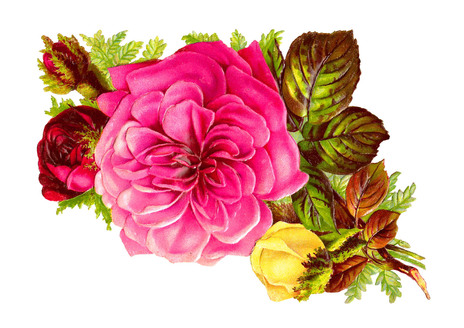 free clip art of flower bouquet - photo #40
