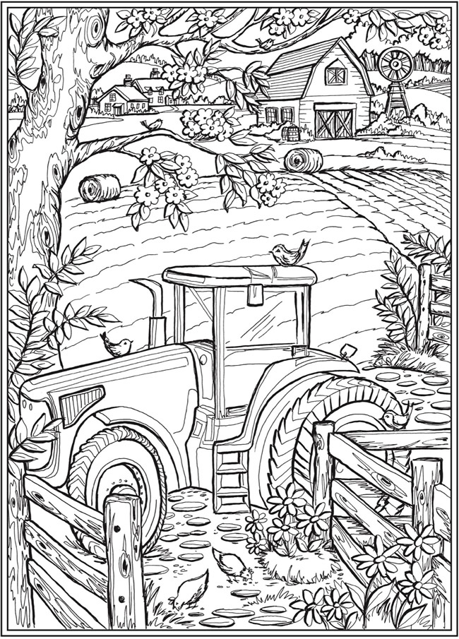 Dragonfly Treasure: Country Farm Scenes Coloring Pages
