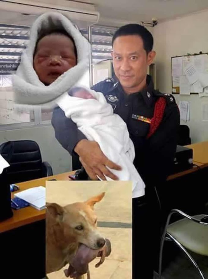 New Born Baby Saved By Dog Is Alive And Well (See Photos)