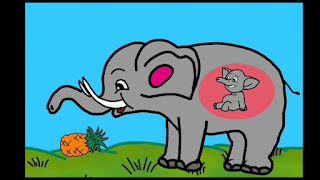 Kerela Elephant Killing