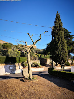 GARDEN / Jardim do Penedo Monteiro, Castelo de Vide, Portugal