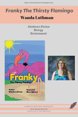 Franky the Flamingo Must Find Water in Florida's Environment 