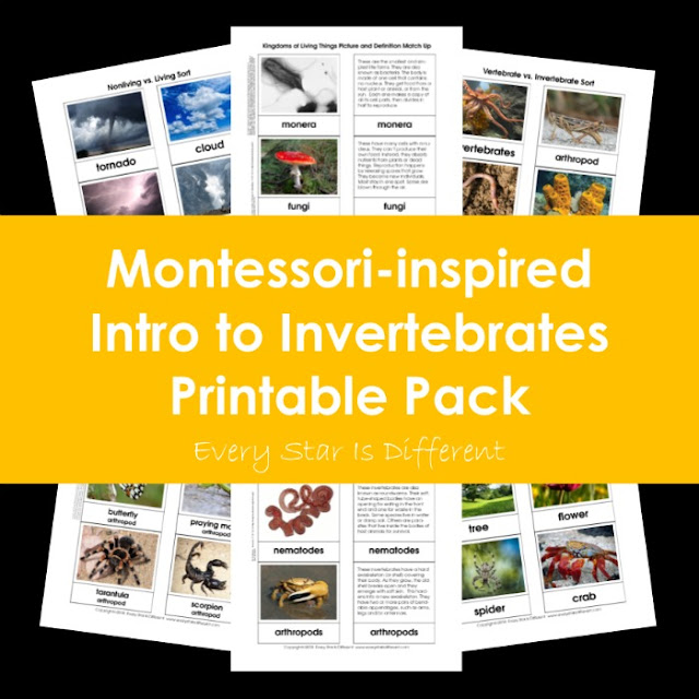 Montessori-Inspired Inro to Invertebrates Printable Pack