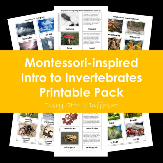 Montessori-inspired Intro to Invertebrates Printable Pack