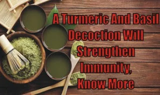 A Turmeric And Basil Decoction Will Strengthen Immunity, Know More