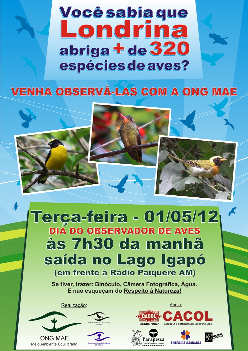 Ornitologia E Birdwatching ONG MAE A CHUVA NOS ATRAPALHOU PARA O PASSEIO DO DIA DO OBSERVADOR