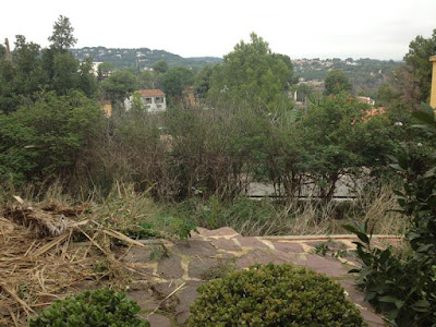 Limpieza de jardines - Ruepra Jardinería