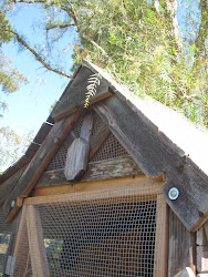 chicken coop french iest chic boxes roost tina touch flower perfect