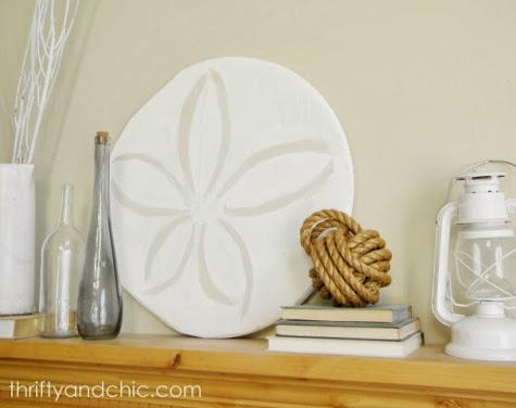 diy sand dollar wall decor