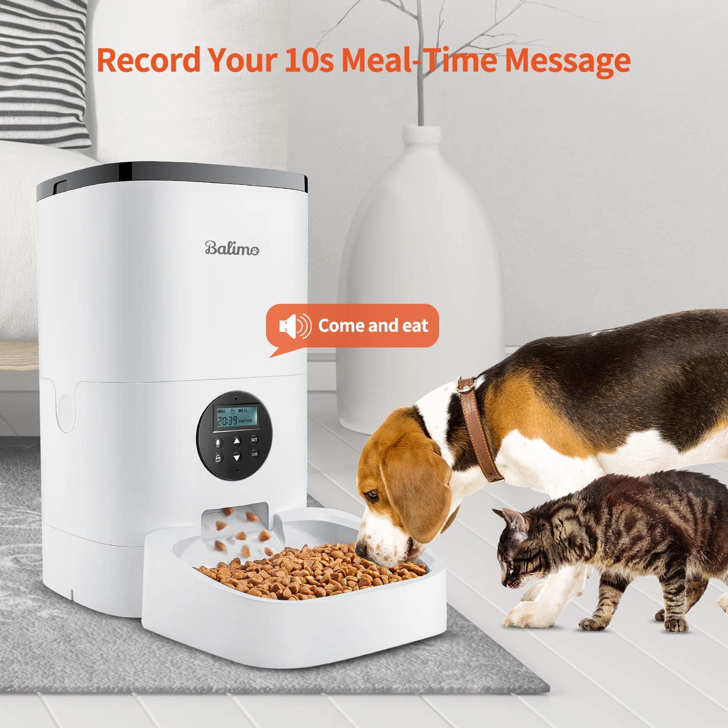 Smart Cats dog Feeder petsmango