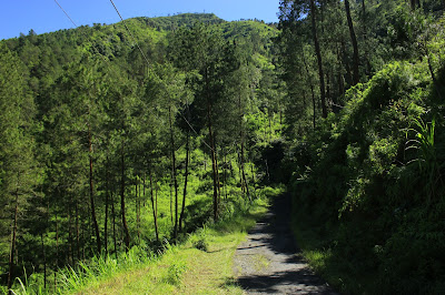Jalan Aspal di Gunung Telomoyo