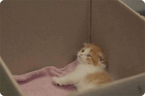 드...드라마 타인은 지옥이다 유...유일한 힐링장면이네요오오오ㅗㅇ 풉킼키키킼ㅋ킼ㅋㅋㅋㅋ킼.gif | 인스티즈