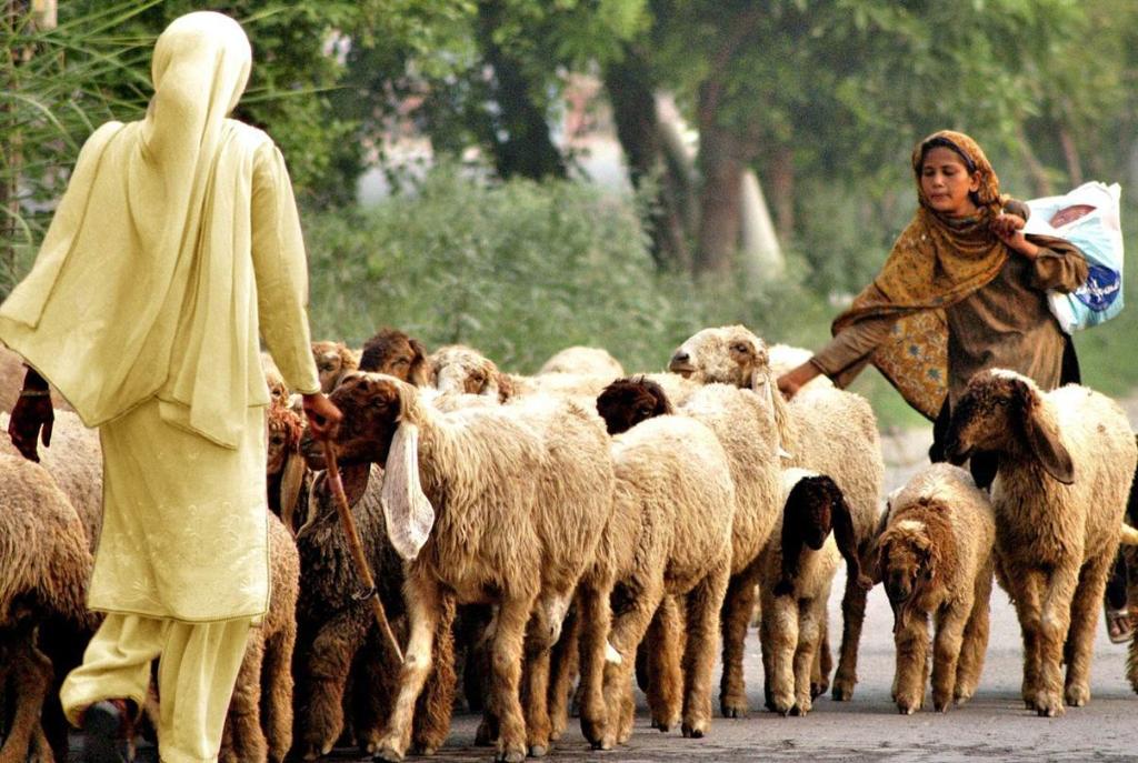 chemical-elibrary-free-engineering-books-poverty-album