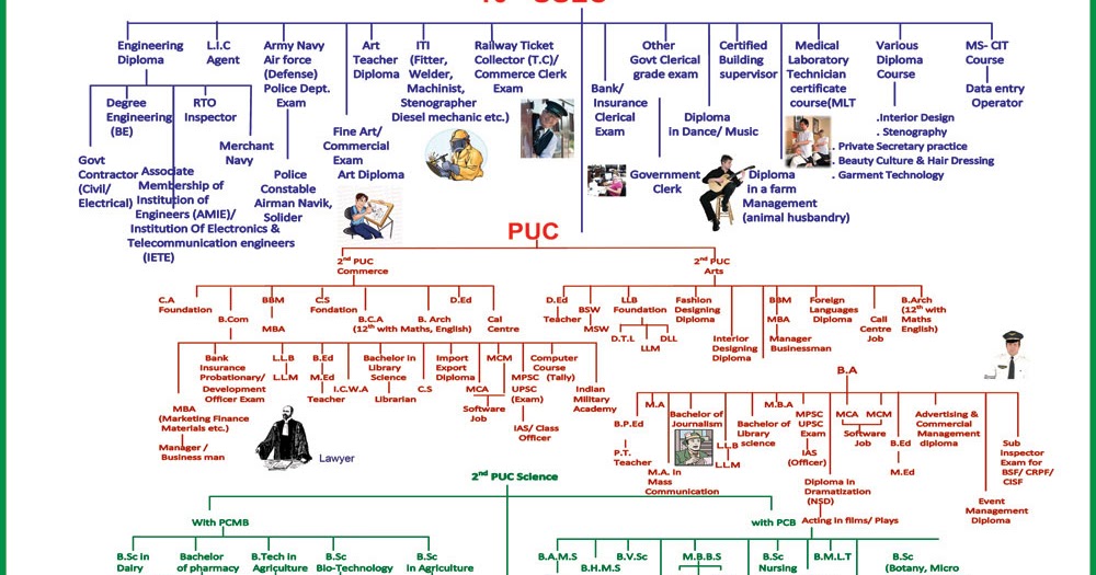 career path finder career path finder