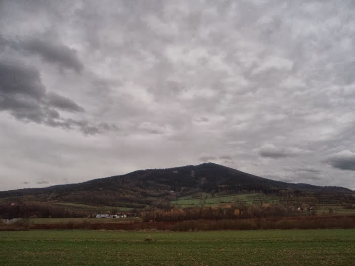 Bukowy Las: Limes Saxoniae