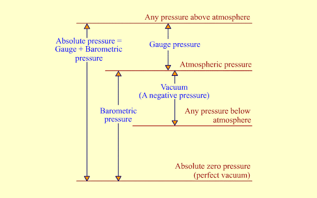 Please Anyone Explain Me About Head Kepala Kelapa What Is That Rayferensi Id