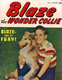 Blaze the Wonder Collie