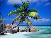 HD wallpaper Seashore. Posted by at 9:42 PM 0 comments (seashore beautiful in wallpaper)