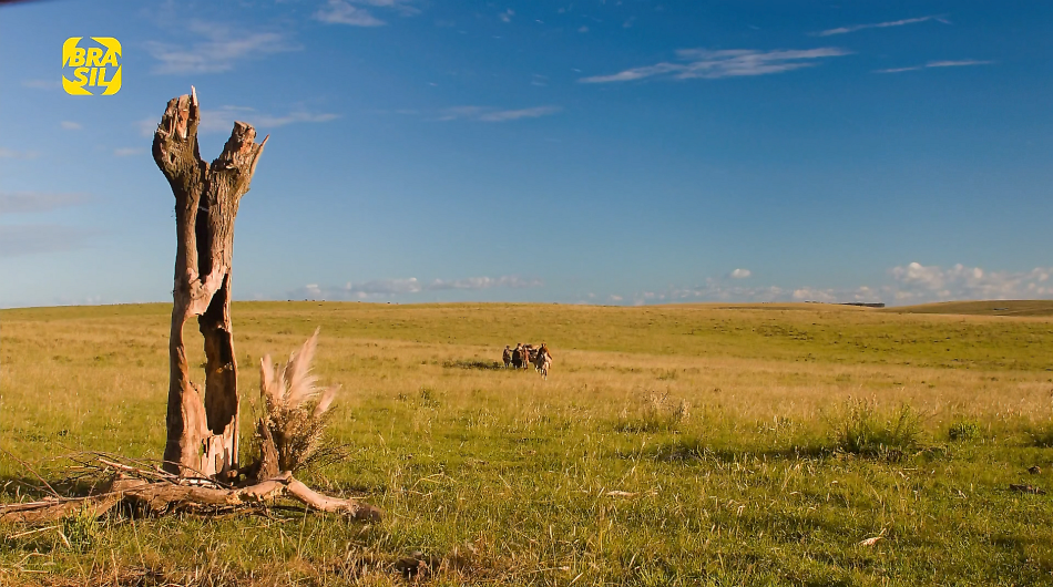 O TEMPO E O VENTO (HDTV/4K 1080P/NACIONAL) - 2013 Micro%2B16