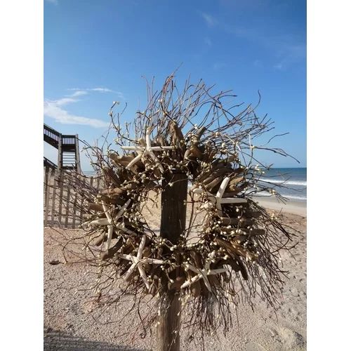 18 Coastal Christmas Wreaths For Front Door