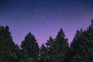 Answer Reference to Context SILVER English Literature Class 4