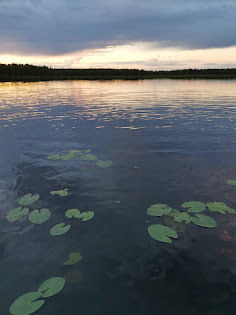 Vuodenaikakuva