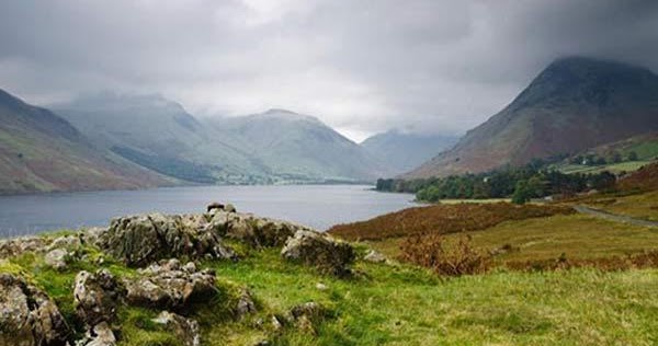 4 Faktor Yang Memengaruhi Persebaran Flora Dan Fauna Di Muka Bumi