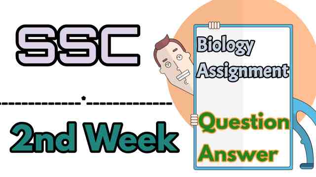 ssc assignment answer biology 2nd week