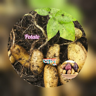Benefit of potato