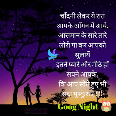 good-night-shayari-with-photo good-night-shayari-with-photo
