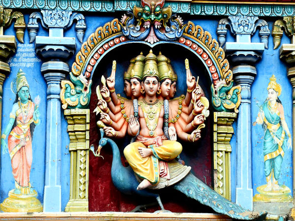 News, Tamilnadu, Temple, Thaipooyam, The six major temples represent the six faces of the Subramanya Swamy