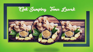 efek samping temu lawak efek samping temu lawak