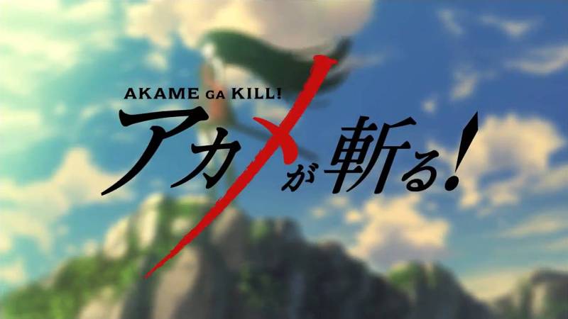 Akame ga Kill!: Will There Ever Be a Season 2?