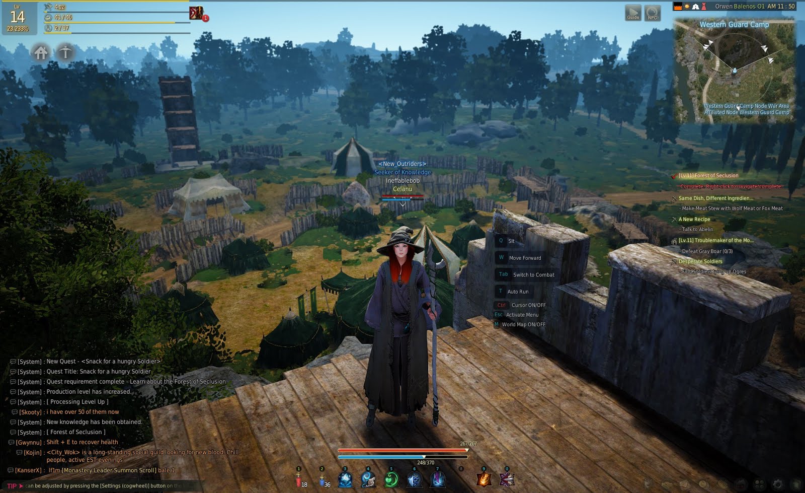 Musings Black Desert Online Not Fighting