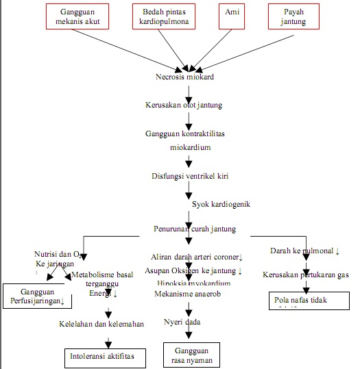 asuhan keperawatan syok kardiogenik