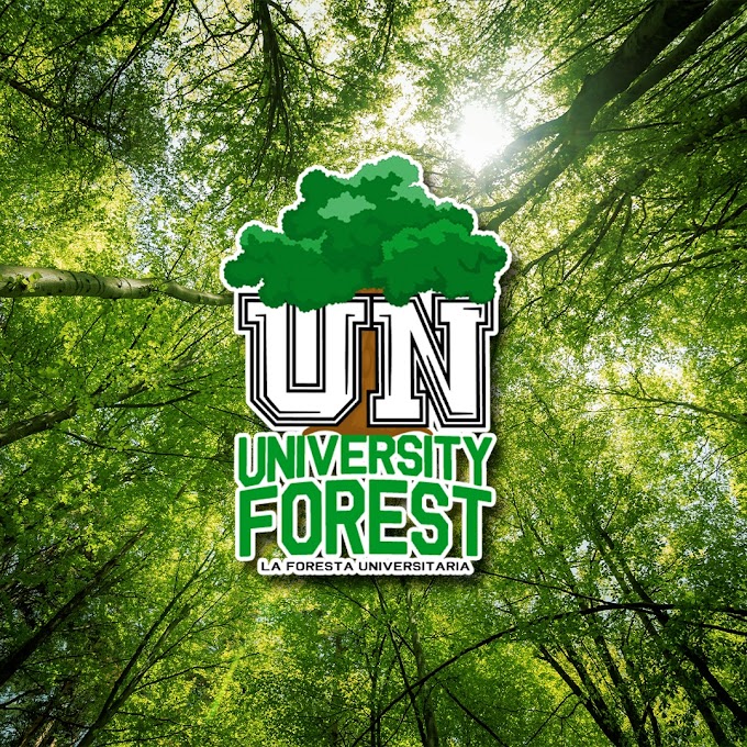 University Network lancia il progetto 'La foresta universitaria' 