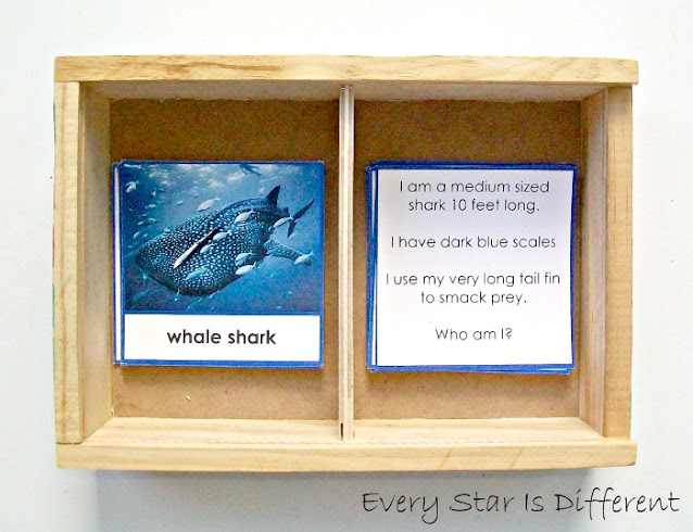 Shark themed Who Am I? cards