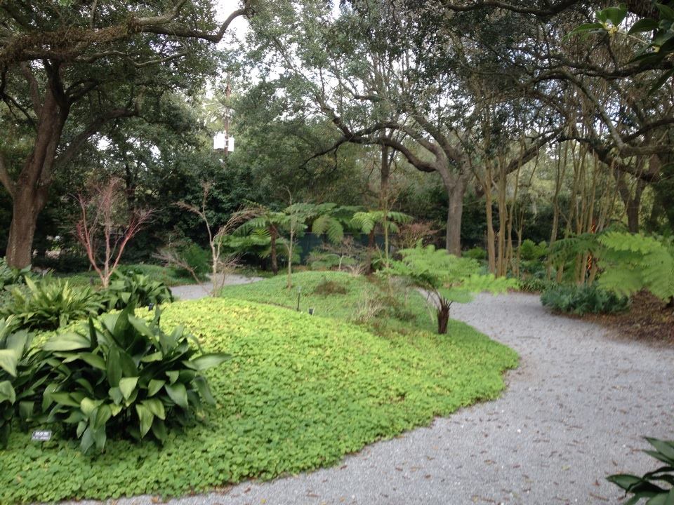 Talgache Revitalized New Orleans Botanical Garden