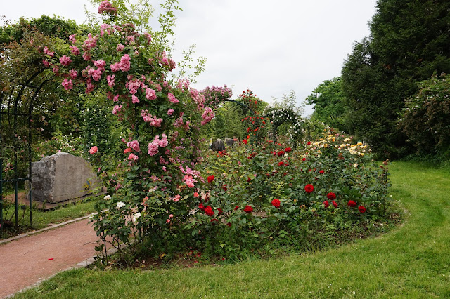 Jardin des Plantes