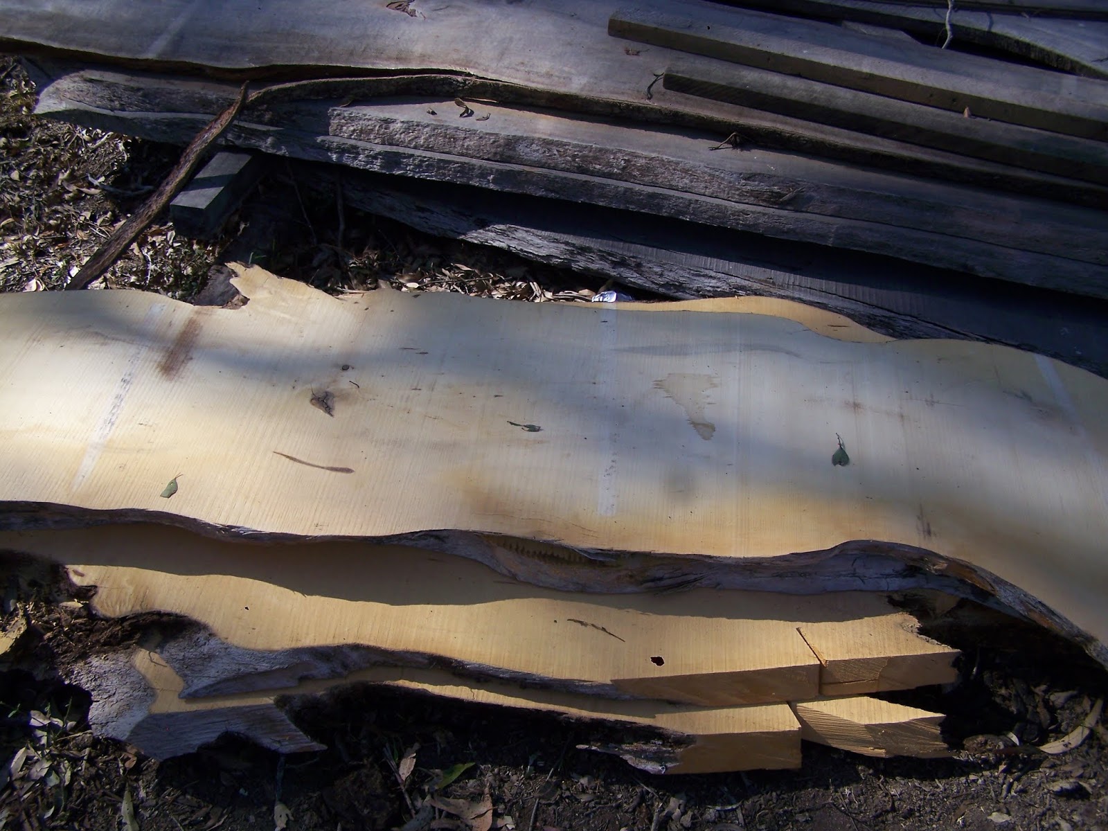 TIMBER AUCTION Lot Photos Boutique Timbers