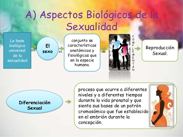 Aspectos biologicos en la sexualidad