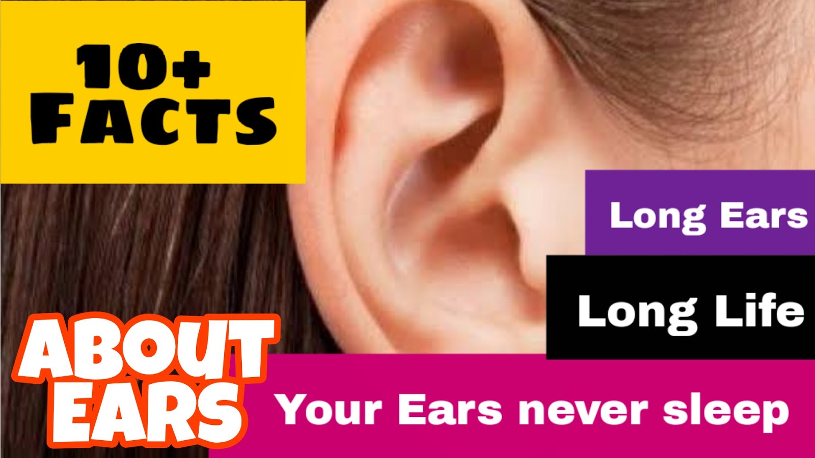 Fun Facts about Ears (Shocking)
