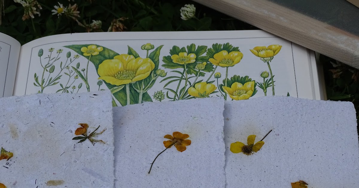 Lemon Tree Paper Creator