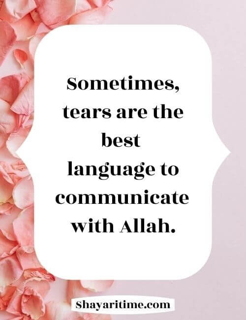 Islamic quotes